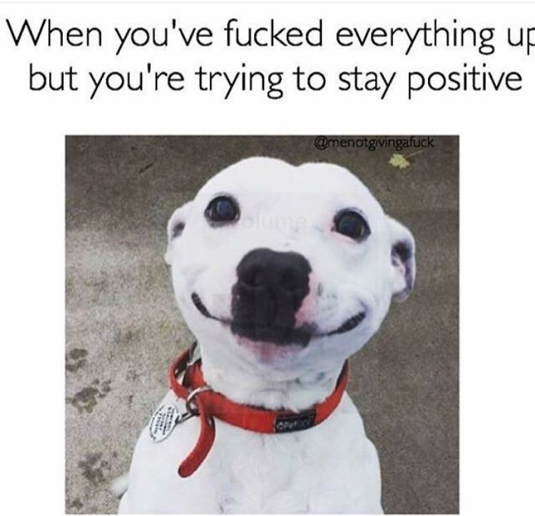 OrchestraProbz_'s tweet image. How you feel when you bomb an audition #orchestraproblems