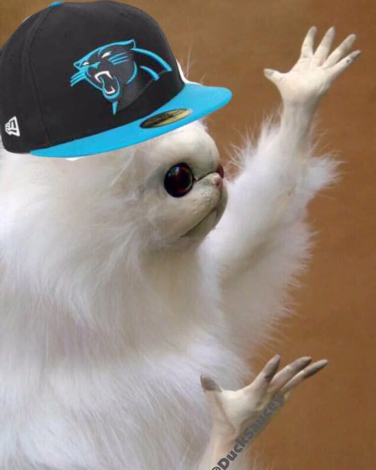 cassopatra's tweet photo. Me rn https://t.co/LZKHHh3MPN