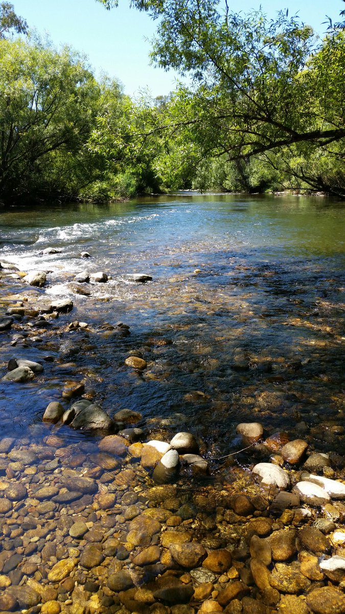 GACO2020's tweet photo. Spent some time in our great outdoors this weekend, did you? #MorePeopleOutdoorsMoreOften https://t.co/jYCnmEZ3xH