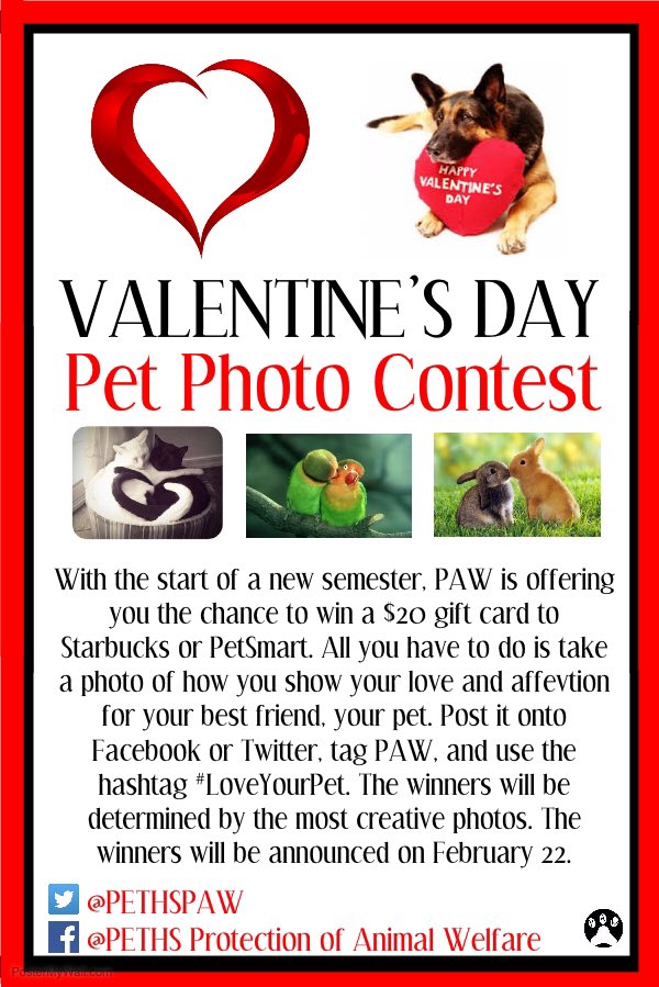 PETHSPAW's tweet photo. PAW is having a pet photo contest. Enter for the chance to win a $20 gift card. Follow the instructions below. https://t.co/TpNATU8igJ
