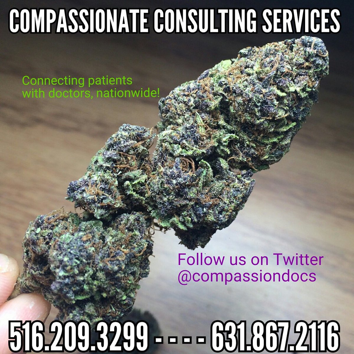 compassiondocs's tweet image. 