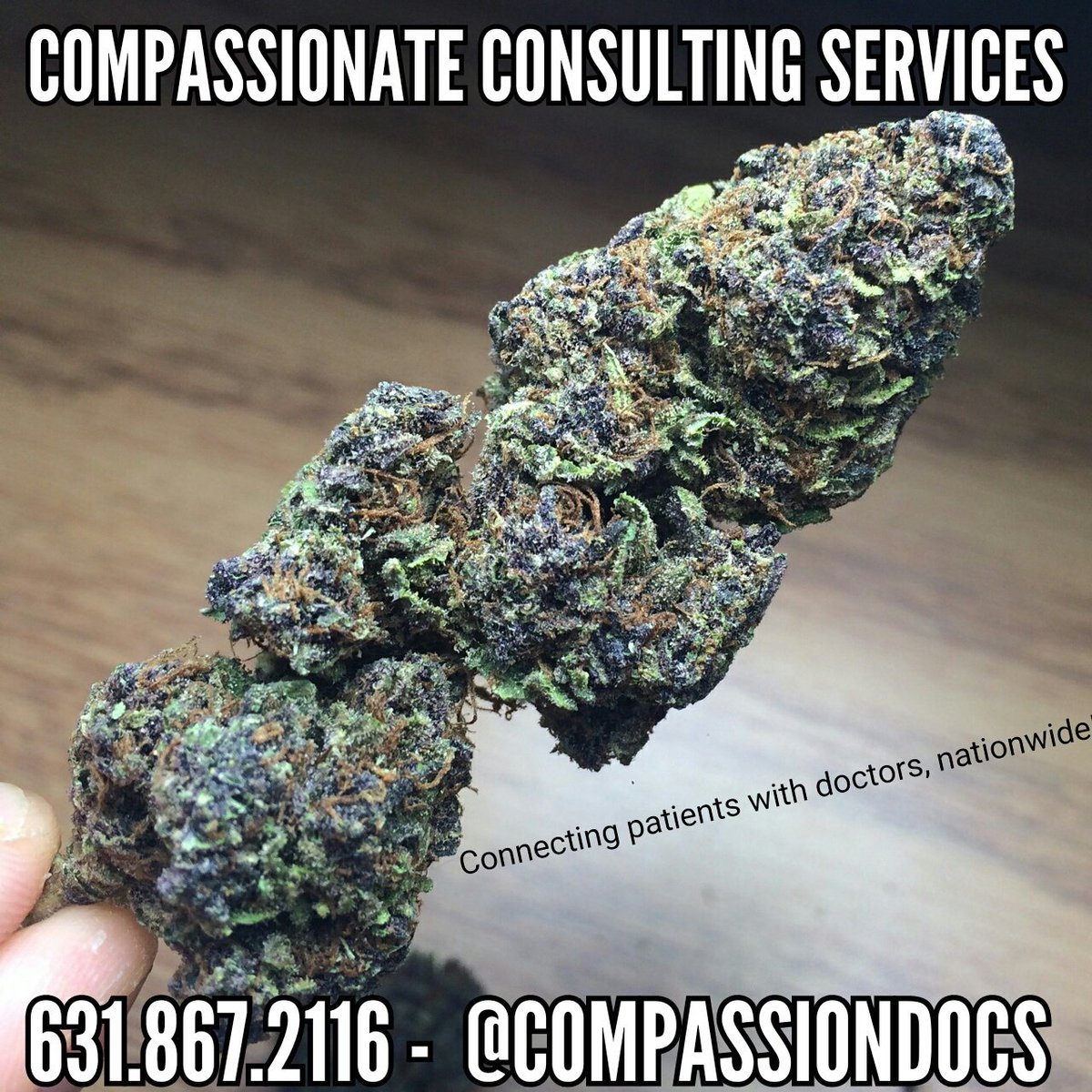 compassiondocs's tweet image. 