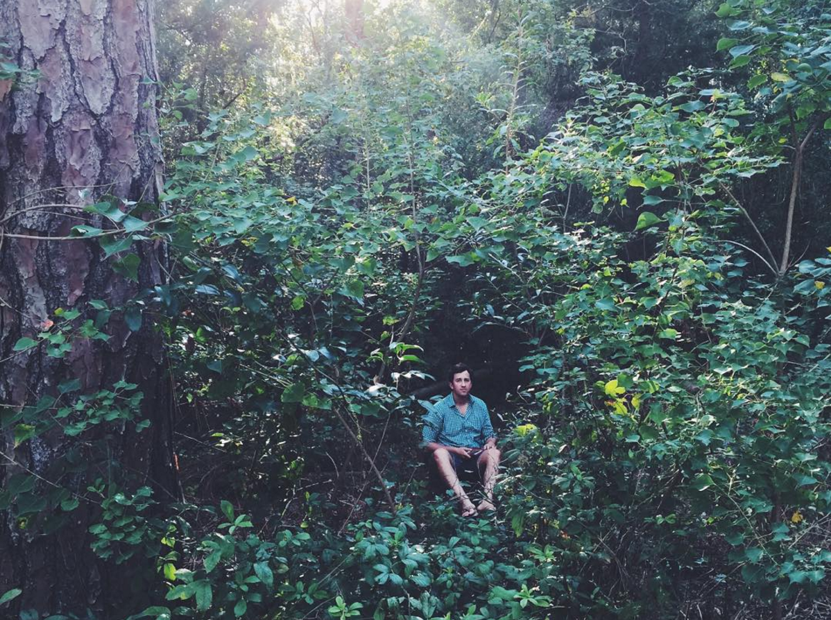 vannapresley's tweet photo. Peek-a-boo!
The woods of #South #Mississippi
#VannasTravels #USforests https://t.co/RGwbvoCuxU