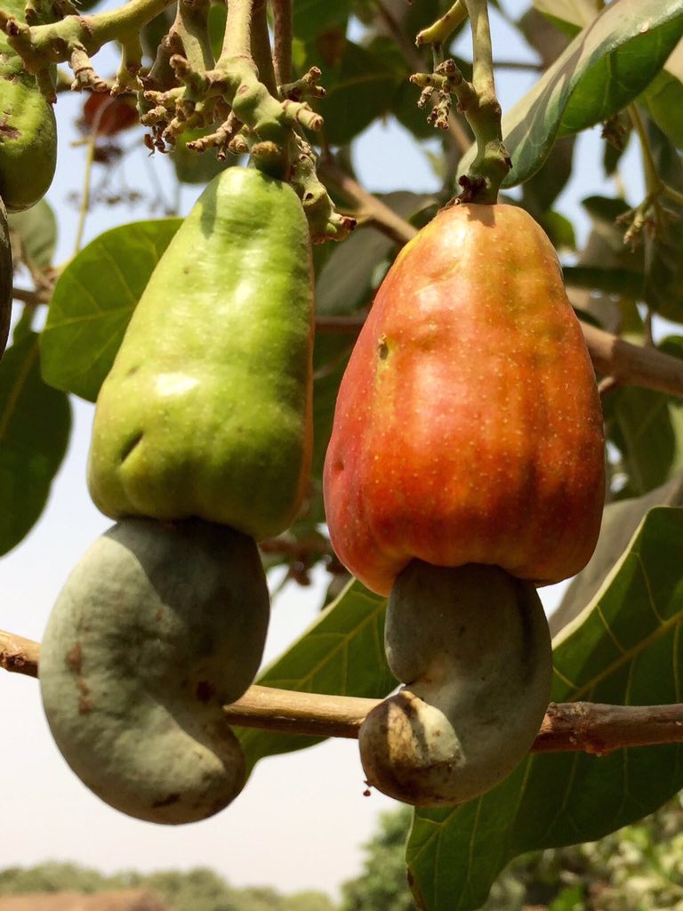 dynamicresourse's tweet image. 