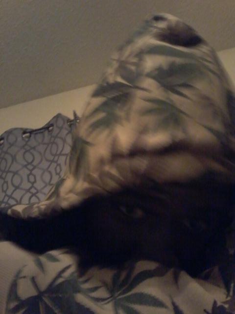 p_4unk's tweet photo. Bitch we still dabbin........#Fuckdasheriff https://t.co/iX4A2iaHW5