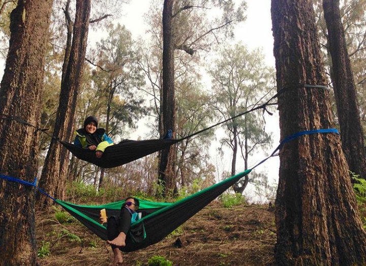 swinghammock's tweet photo. Masih terbayang teduh mencumbu angin dari segala penjuru https://t.co/hPDrExSvp8