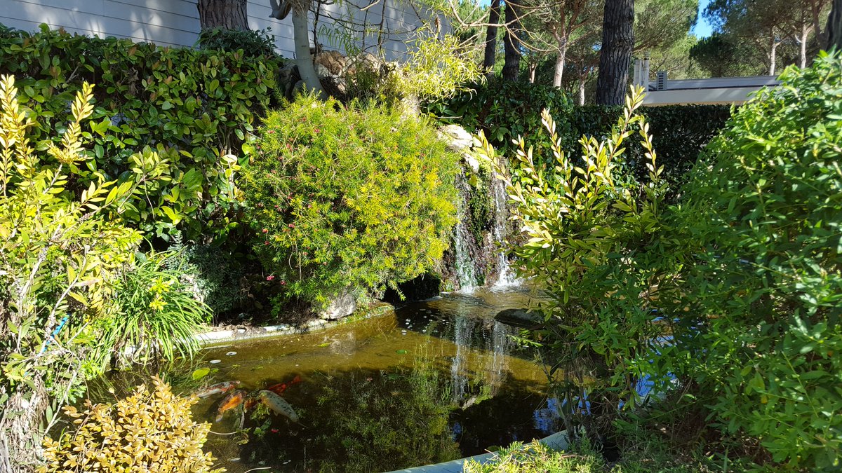 It seems already spring at <a href="/CypselaResort/">Cypsela Resort</a>  #sandaya #camping #costabrava #cypselaresort #holidays