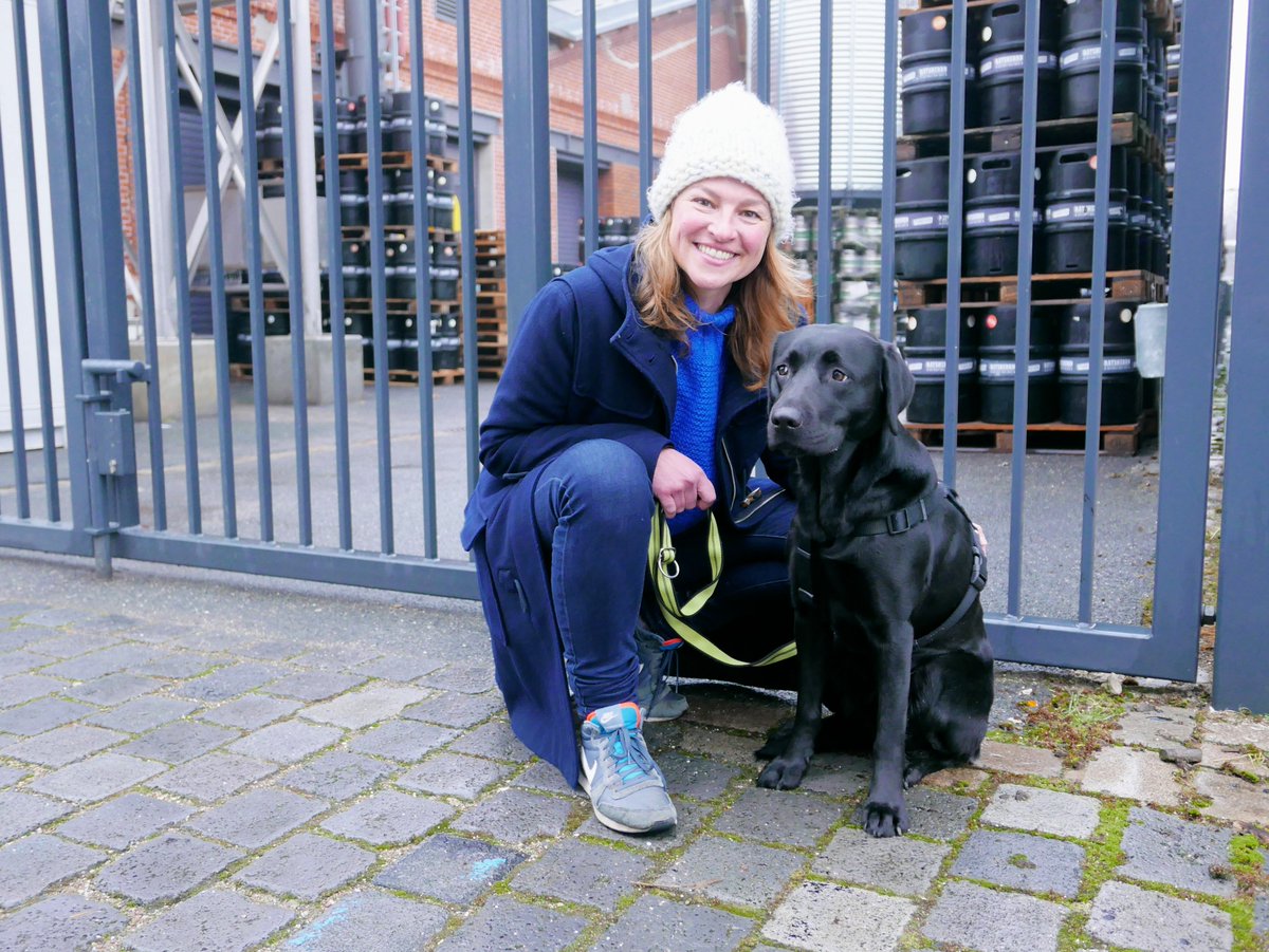 BoxofBirdsHH's tweet photo. In Manuelas #Hundebande bilden Gefangene Hunde zu Blindenführern aus: https://t.co/ENgE802a73 #social #socialimpact https://t.co/wD5EOGjuAt