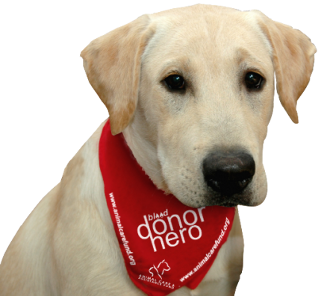 HomeVisi's tweet photo. This request is not guaranteed for a specific time.... ://snip.ly/cxh4e 
 #dog #veterinary #VetsHome https://t.co/9BBZZkUS1r