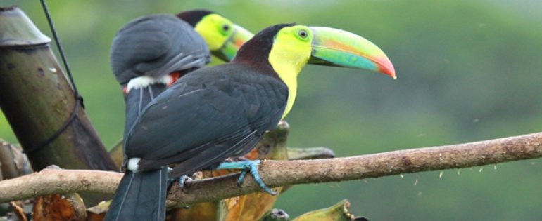 VisitorKerala on Twitter: VisitorKerala on Twitter:
