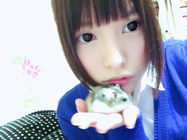 ペットのもふと写メ撮ろうとしたらそっぽむかれた(&acute;･_･`)  最近触るとぺろぺろしてくる(￣ー￣)  前まで散々がじがじされてたけど(￣ー￣) https://t.co/nfdawZc9C8