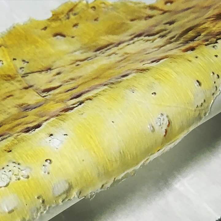 WaxlabXtracts's tweet photo. π₯ π₯π₯ ππππ!! #ommp #710 #dabs #extracts #topshelf #oregongold #onelove #staylifted #kush #dank #cannabis #marijuana https://t.co/RGRYHzxxcv