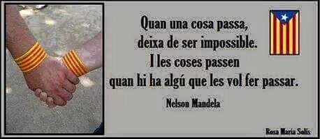 montsegolSiSi's tweet photo. Molt orgullosa de LA GENT DEL MEU PAIS!! HO FAREM BÉ!! BON DIA SEGADORS!! #DefensemL'Ebre https://t.co/Tg9vlvcBlE