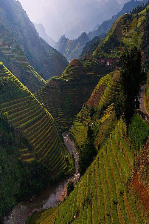 must_travel's tweet image. Rice Terrace, Mù Cang Chải District, #Vietnam. #travel #musttravel