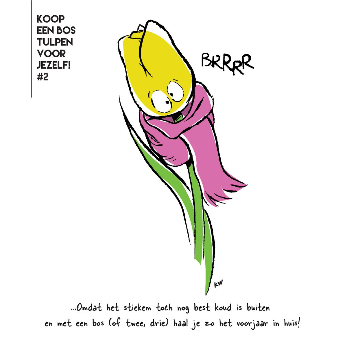 tulpendag tweet media