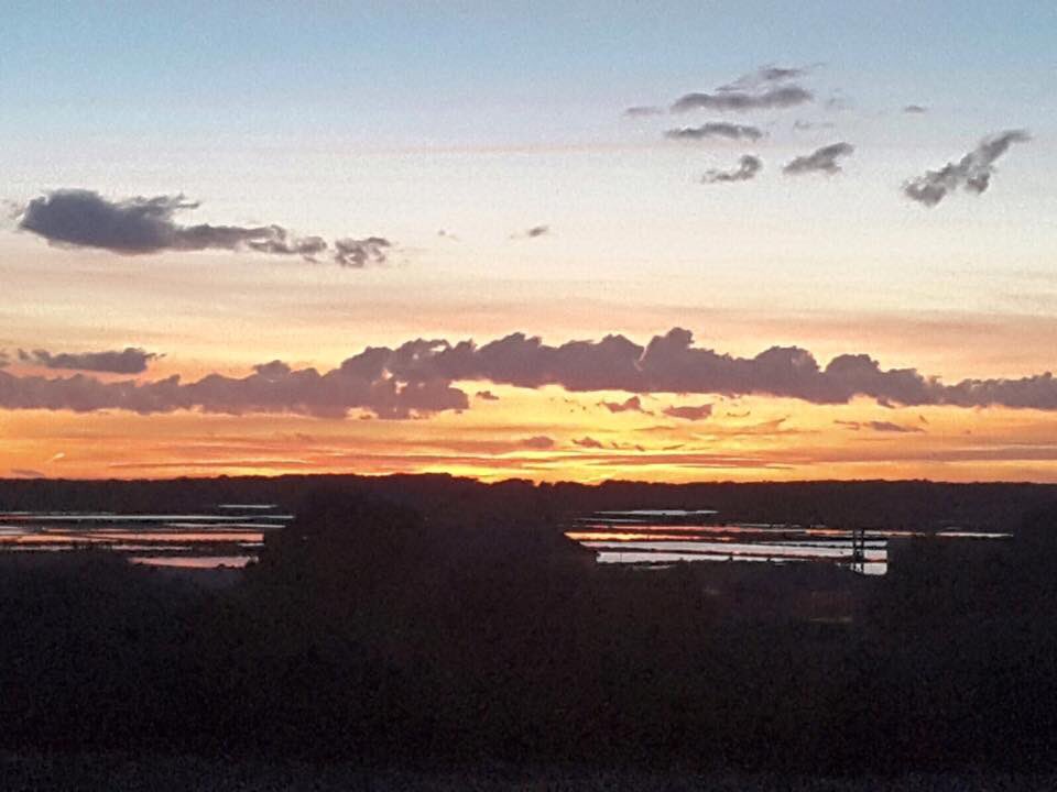 SesArenes's tweet photo. Atardecer de febrero en las Salinas de Es Trenc
#sesarenes #Mallorca #estrenc https://t.co/MHu1TZ5DBC