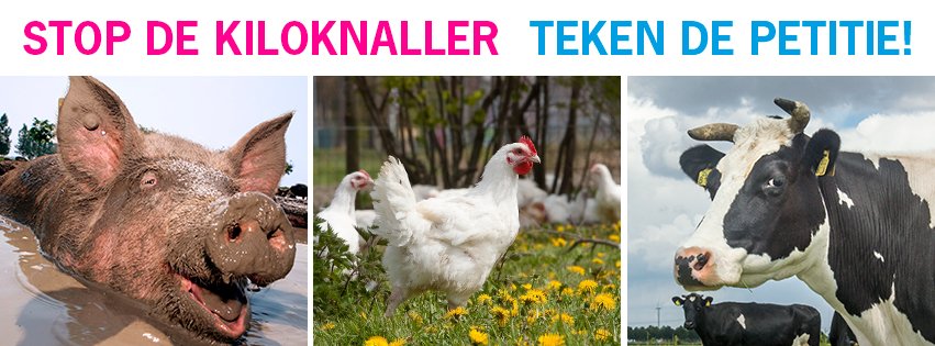Help je mee? Teken tegen de #kiloknaller en voor een diervriendelijke folder: doneren.wakkerdier.nl/kiloknaller_pe…