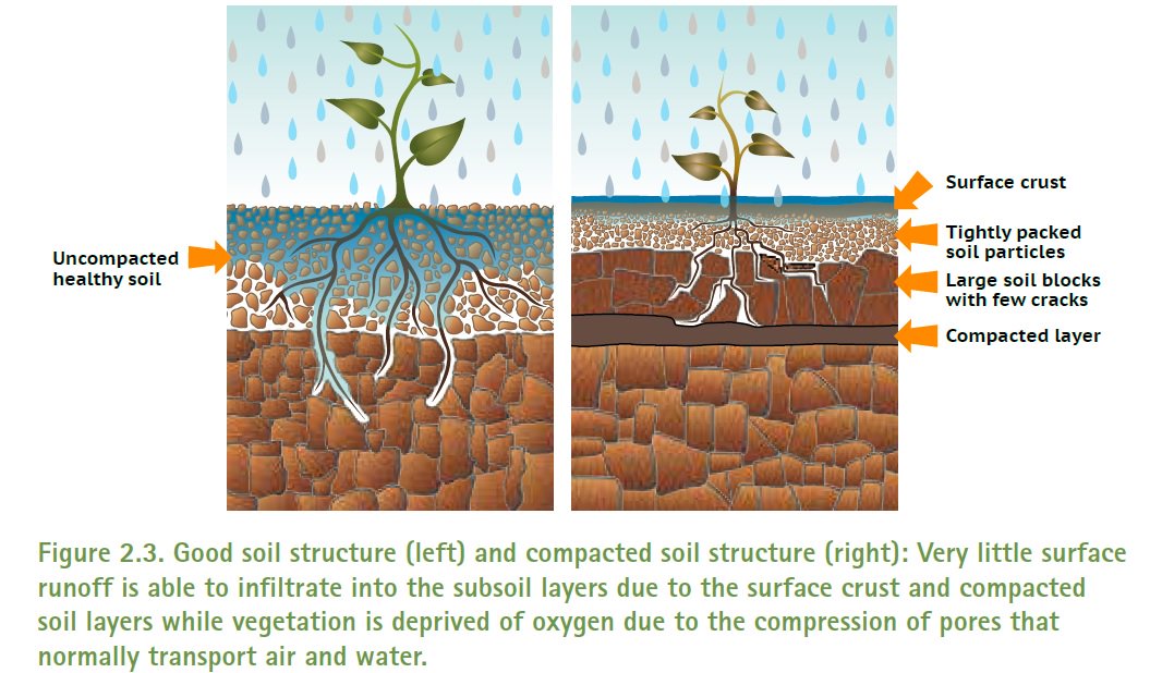 Oly Lowe (@olylowe) on Twitter photo Clear & concise, <a href="/ScottishEPA/">Scottish Environment Protection Agency (SEPA)</a> #NFM handbook; 50yrs intensive agri on soil <a href="/SoilAssociation/">Soil Association</a> google.co.uk/url?sa=t&rct=j… Clear & concise, <a href="/ScottishEPA/">Scottish Environment Protection Agency (SEPA)</a> #NFM handbook; 50yrs intensive agri on soil <a href="/SoilAssociation/">Soil Association</a> google.co.uk/url?sa=t&rct=j…