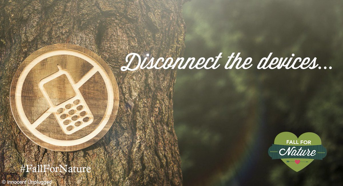 treesforlifeuk's tweet photo. Have a digital detox and #FallForNature... https://t.co/XMRmvMRKUu