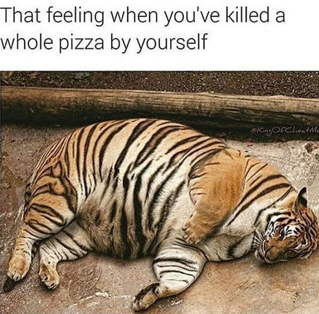 DrewKage's tweet photo. #pizza #pizzaispower https://t.co/7EXesOdMLa