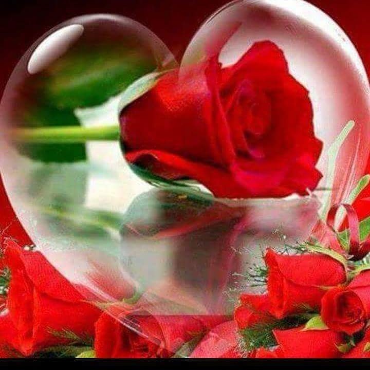 altryty1's tweet photo. #الشمري_في_ذمه_الله https://t.co/5AmKDpdwOz
