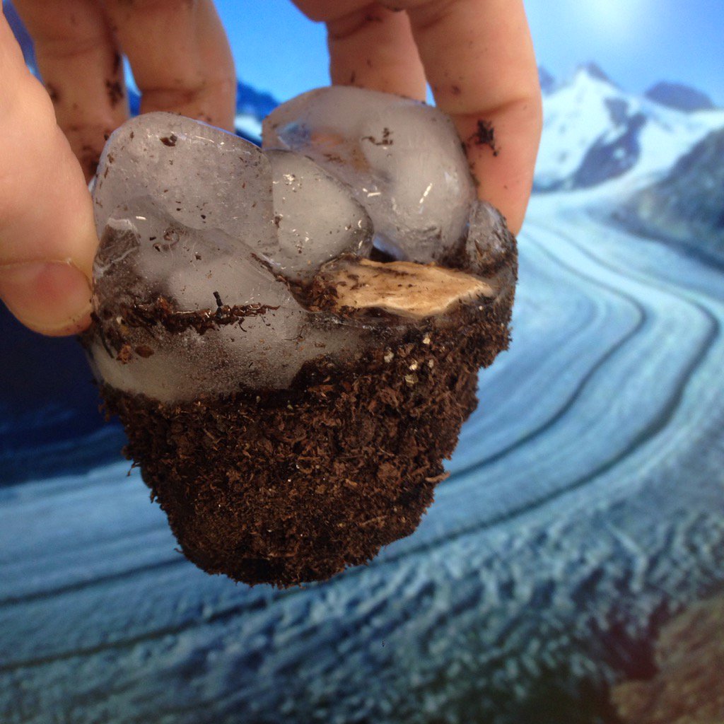 Ask your 5th grader how glaciers "pluck" rocks when carving their characteristically U-shaped valleys. @APSscience