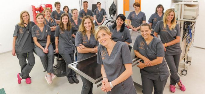 anipassion_fr's tweet photo. “Vétérinaires, leur vie en direct”, nouvelle série documentaire sur TF1 débutera Dimanche 14 février à 16:00 https://t.co/Gmxpm5wHP4