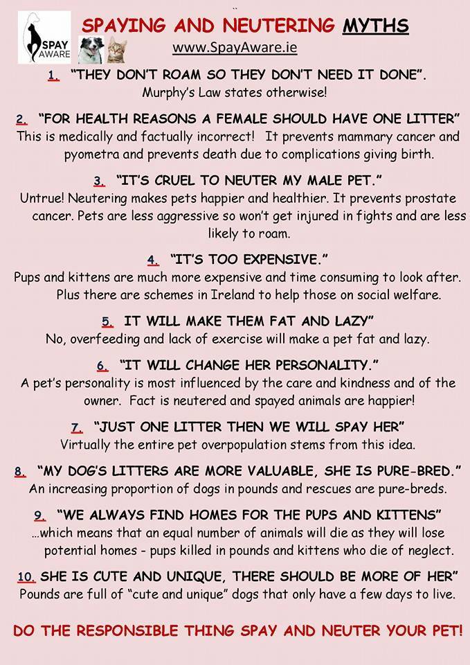 Spayaware's tweet image. PLEASE STOP BELIEVING THE MYTHS.  PLEASE LOOK AT THE FACTS ON THIS LINK spayaware.ie/Spay-Aware-Fac…