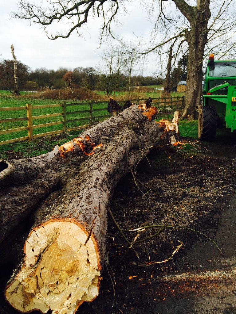 GWS_Learning's tweet image. Look what came down across our driveway today, fortunately with no-one anywhere near.