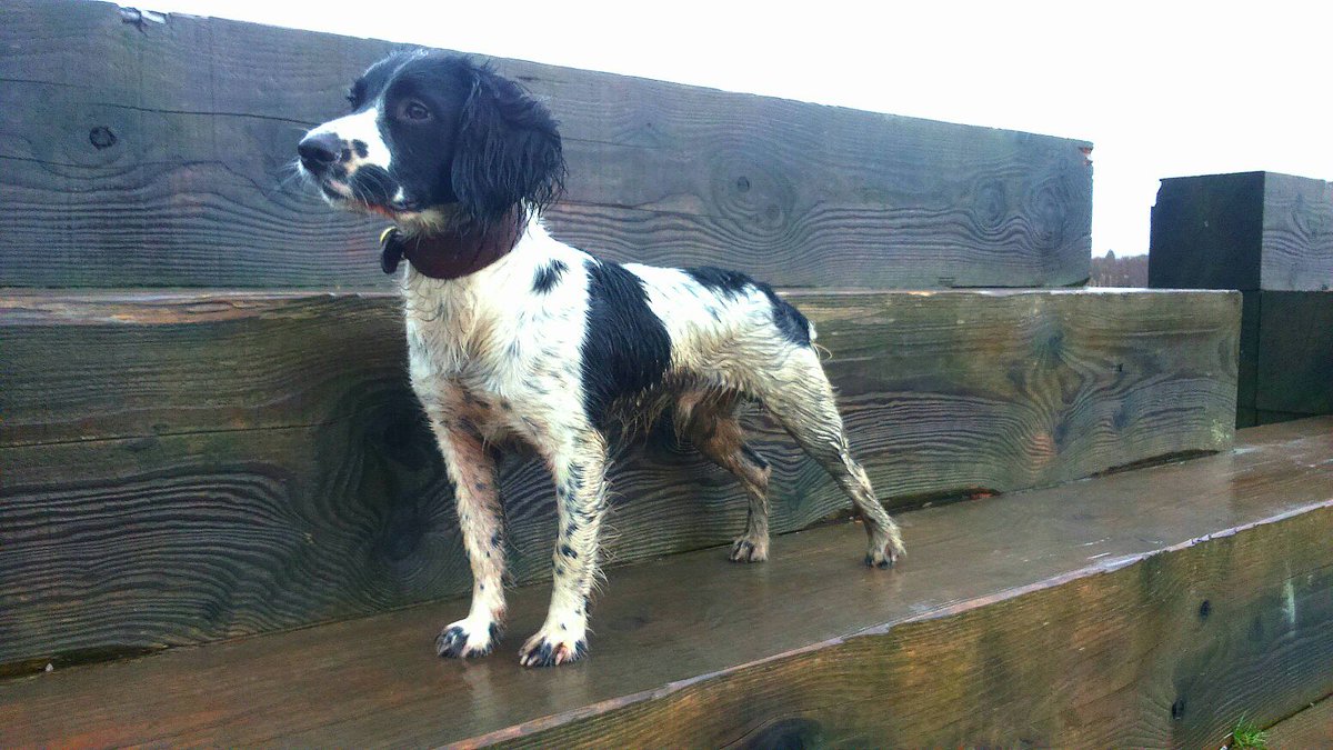 JabMove's tweet image. OUT AND ABOUT......