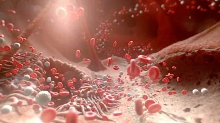 Organic biological textures tell a story for Oregon Health &amp; Science University: digitalcanvas.co/2015/08/25/ore…