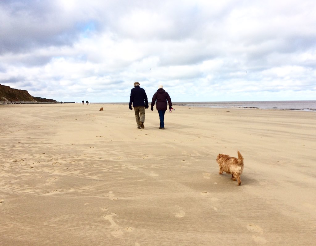 Will Appleyard tweet media