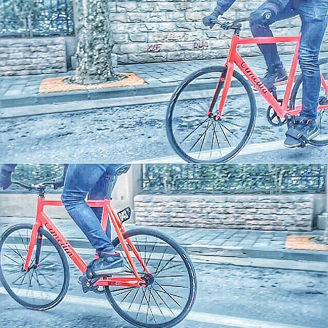 zhengyu_zhao's tweet photo. Back to the Street. #cimellia #druginc #fixie #fixedgear #fixieporn #bicycle #bike #bikepo… https://t.co/mMNcJdQRFM https://t.co/P8wH6BEkop