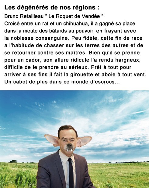 OpGPII's tweet photo. #OpGPII Diffamation, fraude et détournement. La campagne truquée de @BrunoRetailleau #NDDL https://t.co/Tma4zVLpec https://t.co/gXuGCzVeyK
