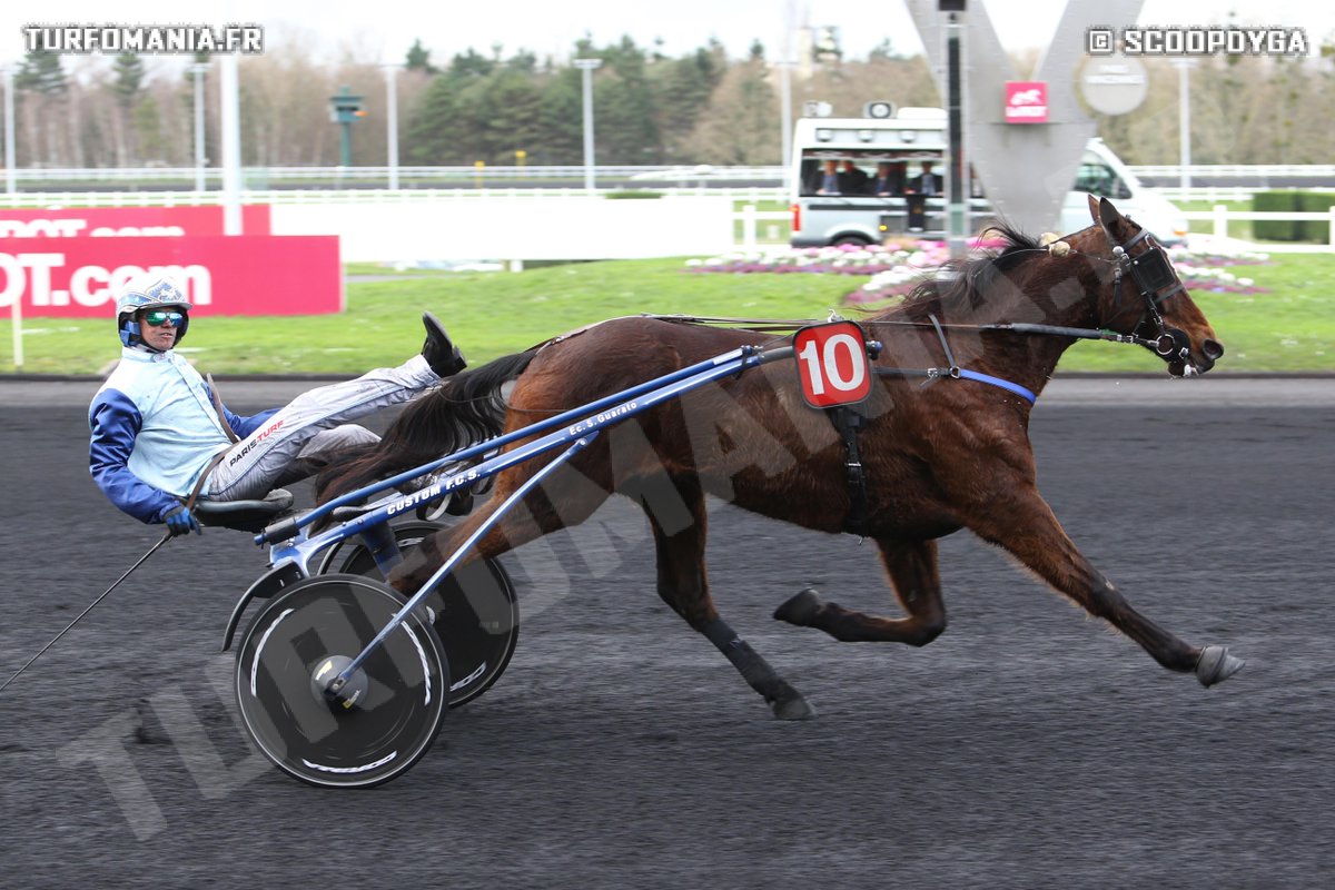 TurfomaniaFR's tweet photo. En image, USTINOF DU VIVIER met fin à la série de succès de VIKING BLUE dans la bataille de la Marne https://t.co/JFN0Mtusoi