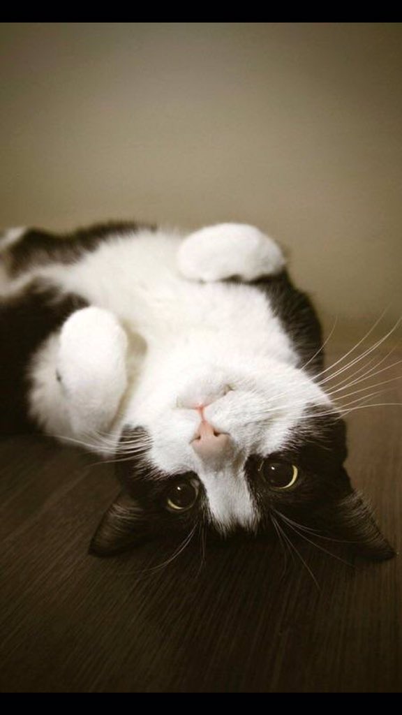 scaglioned's tweet image. #IHelpOthersBy looking at the world from a different angle.