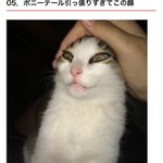 Cxxcxx フォロワー一覧 1 Whotwi グラフィカルtwitter分析