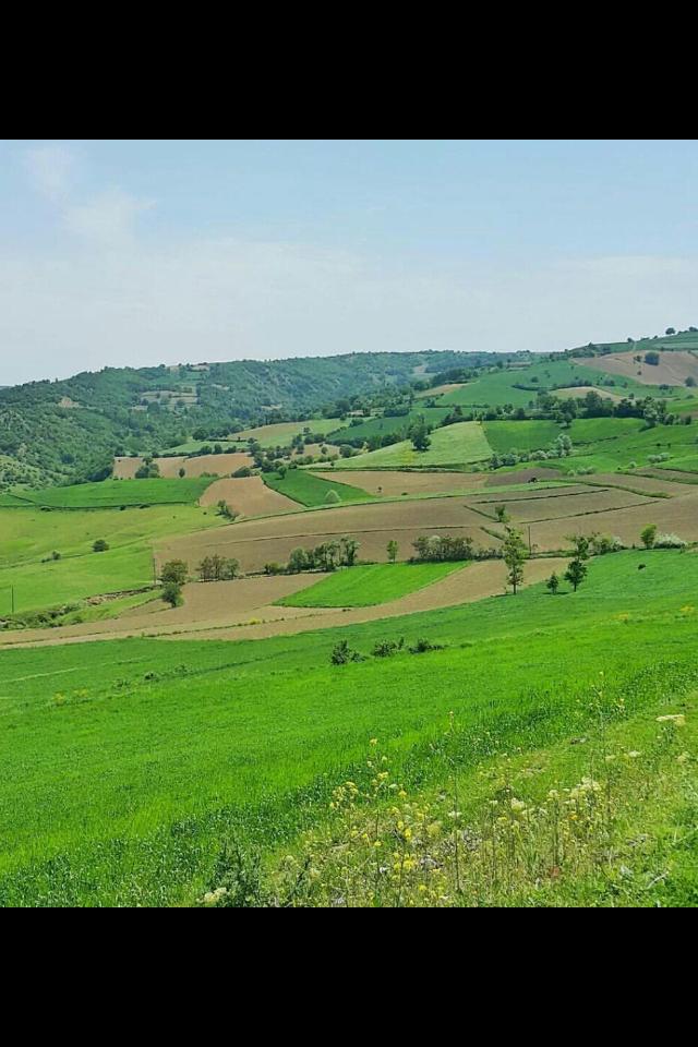 ابو محمد (@a0550505930) on Twitter photo 