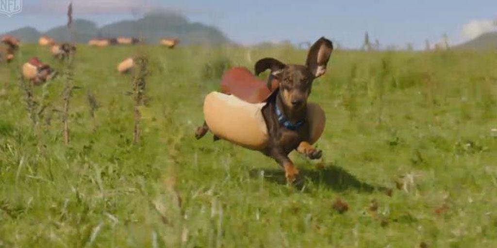 NFL's tweet photo. Miss any #SB50 commercials?

Fear not. We've got you covered with one handy link: https://t.co/THq1KEj7BB https://t.co/nnHrKXV0UY