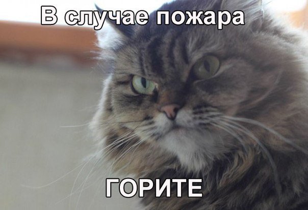 AgoniaLCF (@agael2015) on Twitter photo 