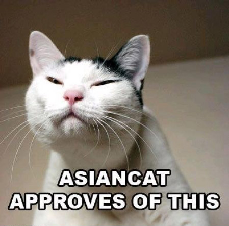 LOL_Cats (@lolcats_fun) on Twitter photo 