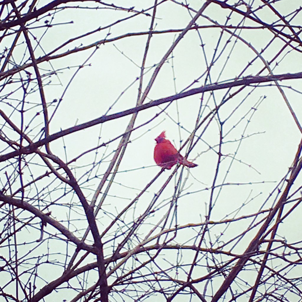 EAlexMarque's tweet photo. Appreciating the little things today on this grey Monday :-) https://t.co/4AVbqMe1Af