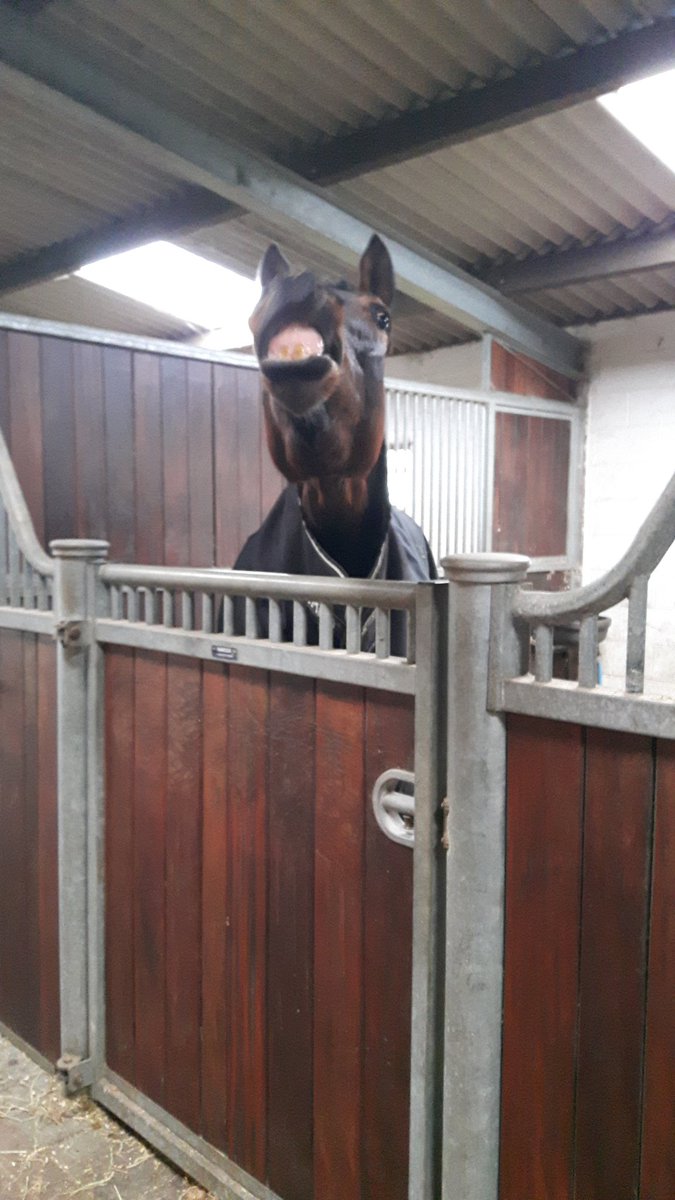 JessWestwood's tweet photo. At least someone found storm Imogen funny today! #Halerious https://t.co/OWxSblpwPx