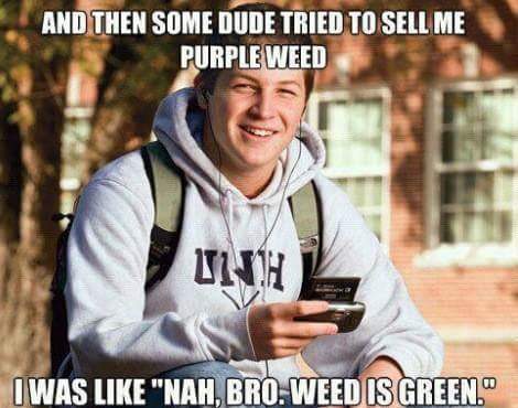 FreeMrWeed's tweet photo. #purple #haze #green #weed #420 #amatuers #smh #lol #freemrweed #teamweed #team420 https://t.co/okR0H1gyt5