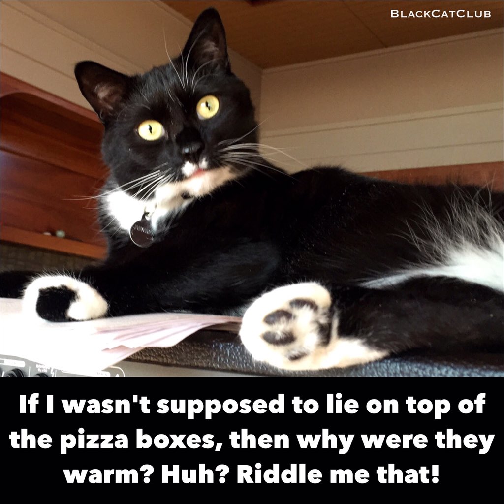 BlackCatFrazz's tweet image. He's got me there. 
Luckily, cheese is good even when scraped off a cardboard lid. #superbowl #unfug