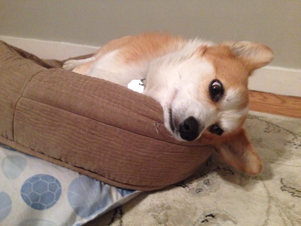 itazurayuki's tweet photo. Monday's... #meh https://t.co/BjClCv6cRz