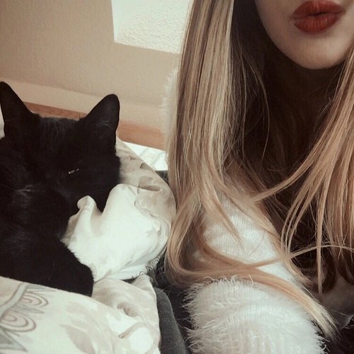 Shadowtty's tweet image. Lumiere y yo os saludamos ¿cómo lleváis el día?