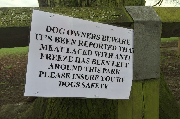 Faversham Times tweet media