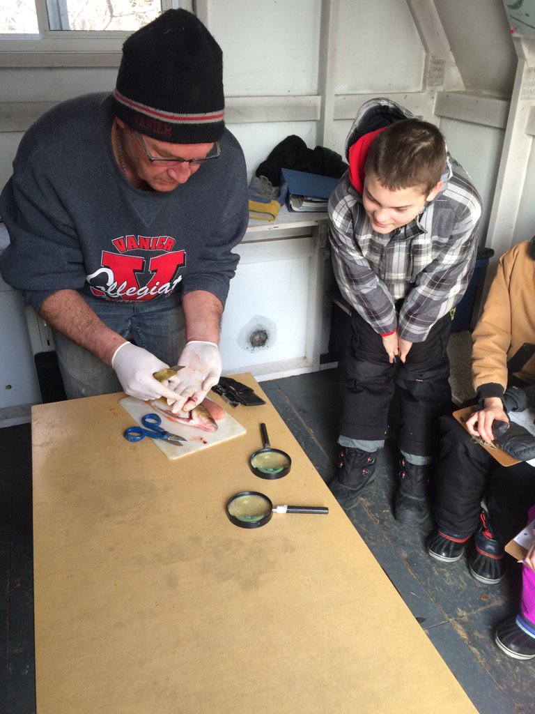 Upland_Hunter's tweet photo. Getting to know he heart of the matter... #perch #heart #ClassroomsonIce #BuffaloPound @SaskWildlife https://t.co/ooaTD3N7xx