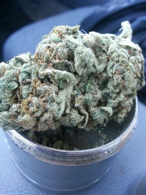 BuzzedWeed's tweet image. Find More On Facebook &amp;amp; Snap chat Me! =&amp;gt; virtanon